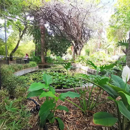 Апартаменты Home2book Trendy & Centric Cruz *