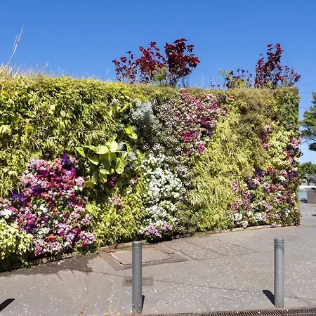 Home2book Trendy & Centric Cruz