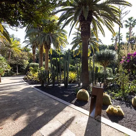 Home2book Trendy & Centric Cruz 公寓