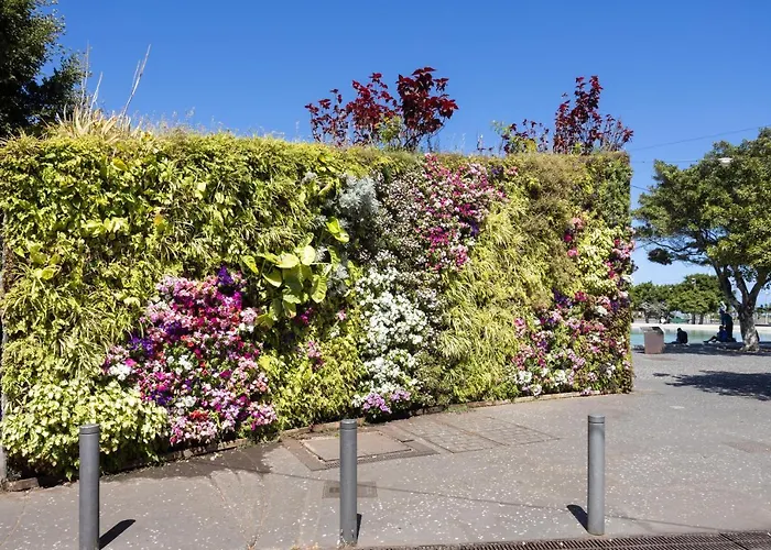 Home2book Trendy & Centric Cruz