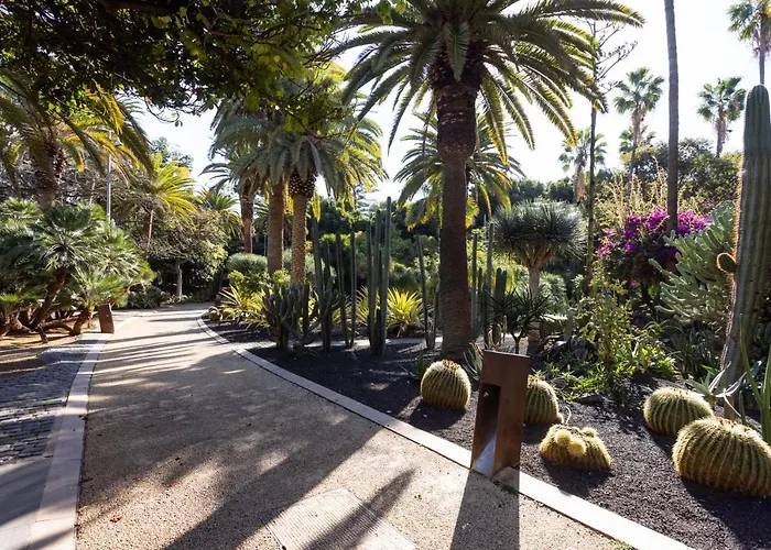 Home2book Trendy & Centric Cruz Appartement